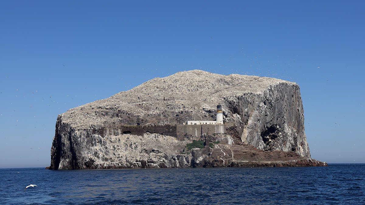 Bass Rock